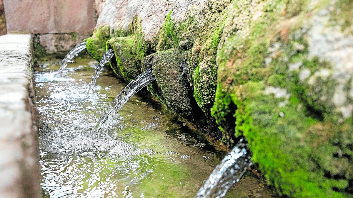 Les fonts de Sant Magí de la Brufaganya.