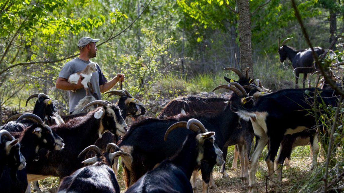 El pastor Iñaki Pontón, que forma parte del proyecto, en Mont-ral.