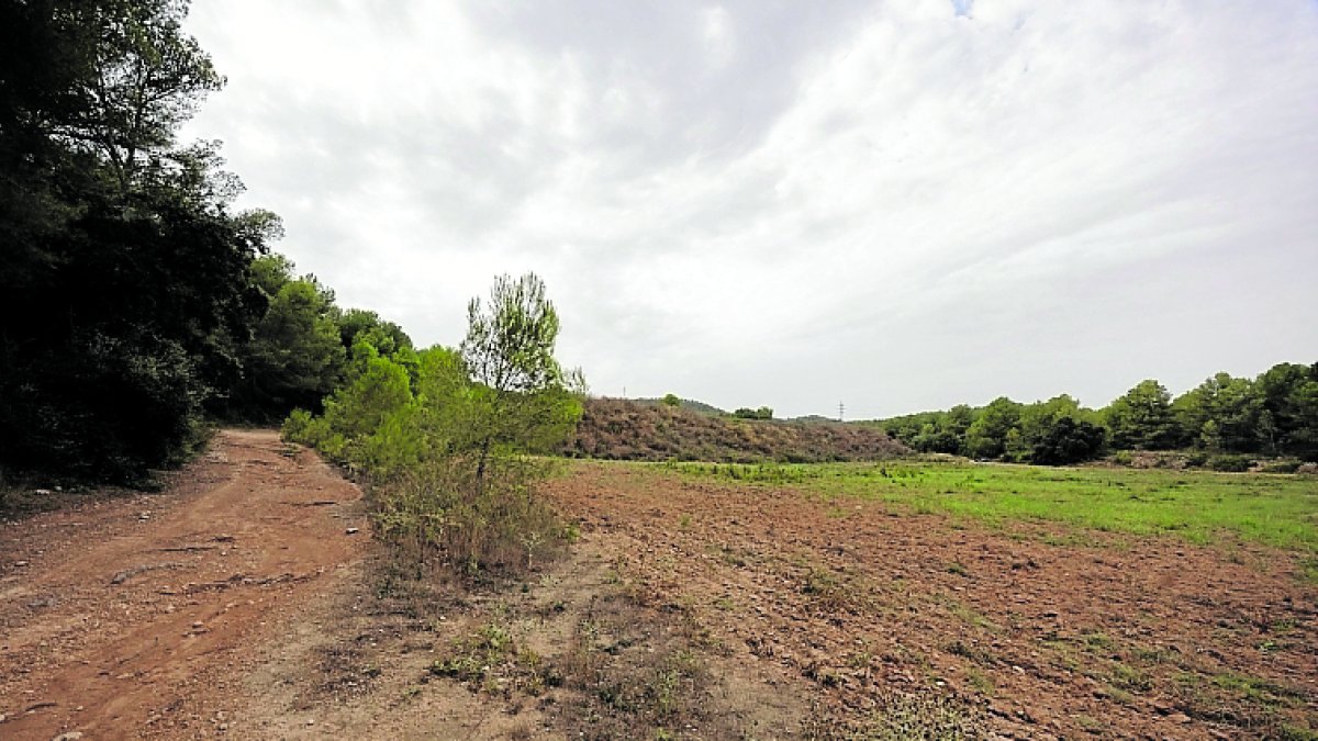 Los terrenos en los que se quiere construir el nuevo complejo deportivo de Llevant.