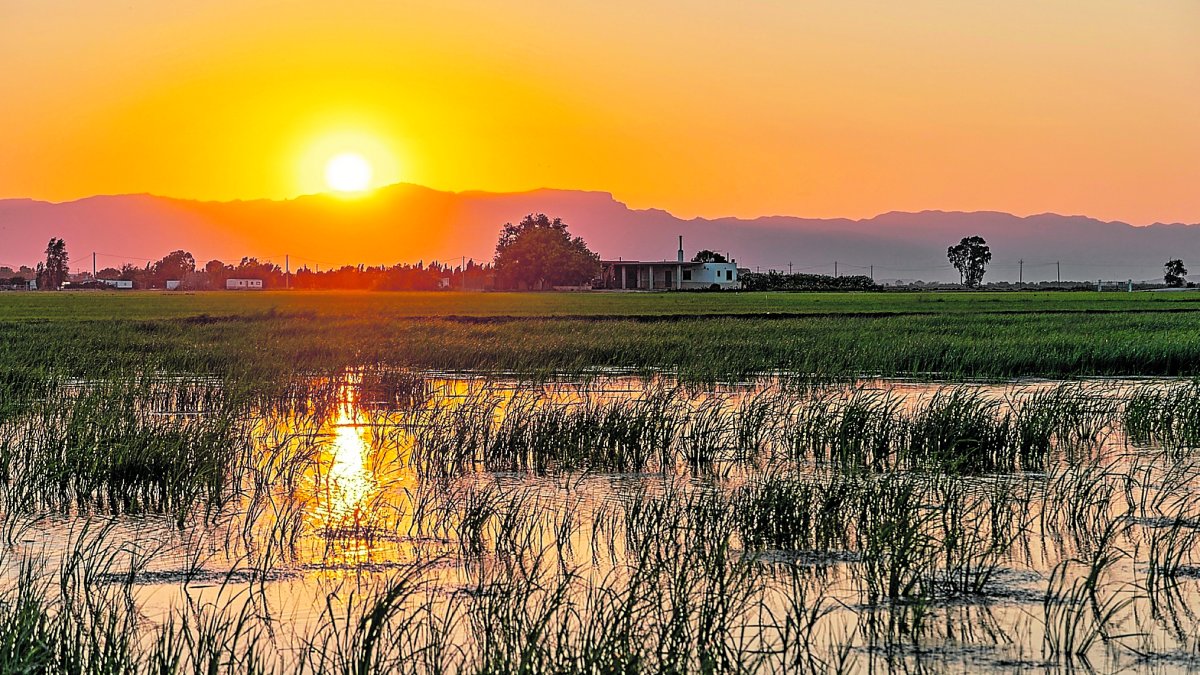 Atardecer en el Delta de l’Ebre.