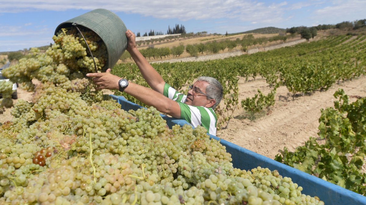 Imagen de archivo de un agricultor