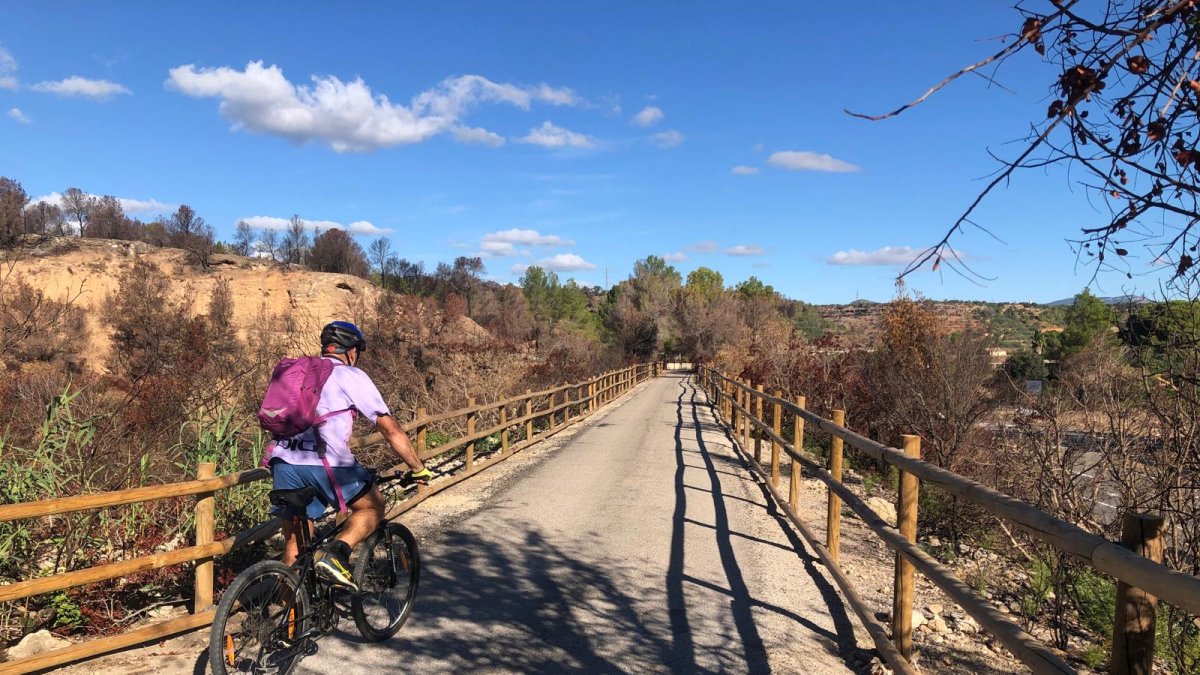 Un ciclista per la Via Verda, entre Aldover i Xerta.