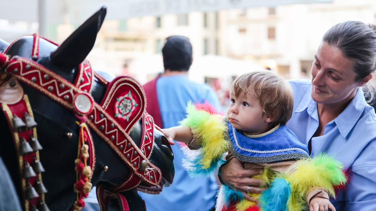Un infant vestit de Gegant Indi acaricia la cara de la Mulassa de Reus.