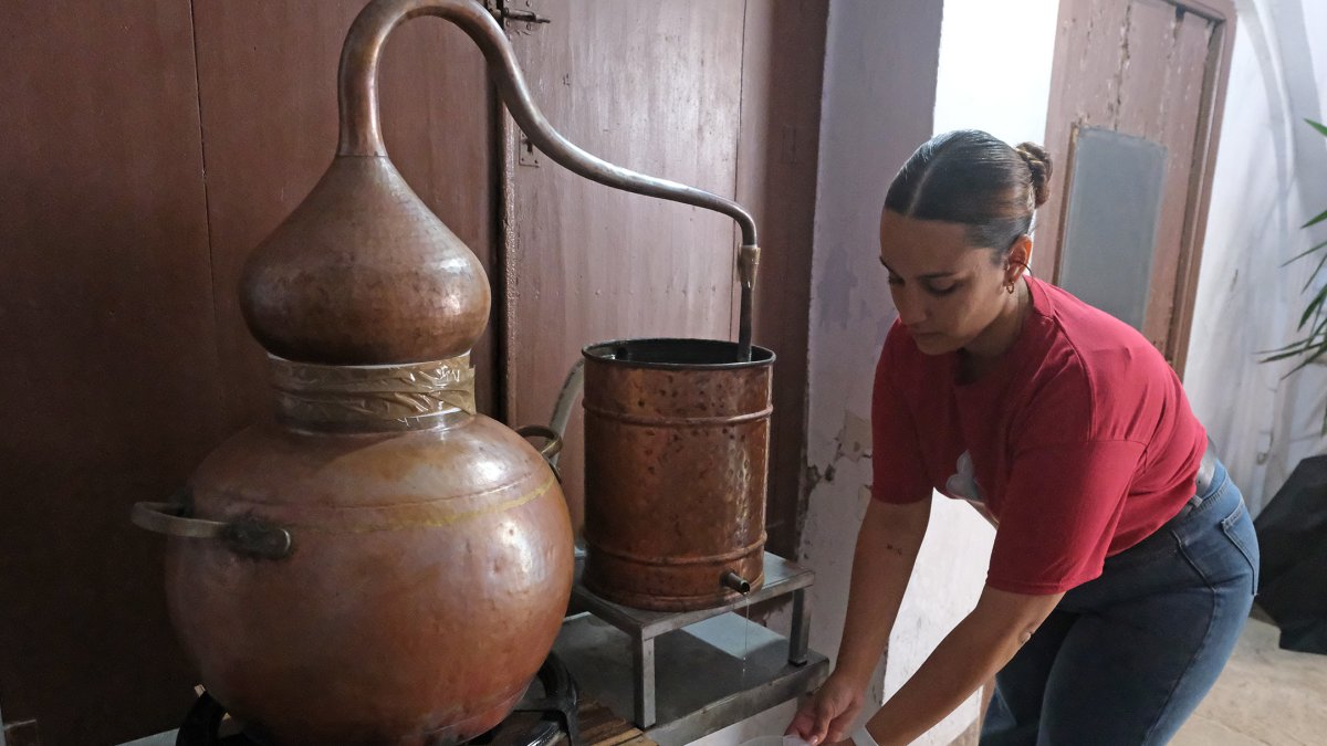 Un dels alambís amb què s'elabora l'aiguardent.