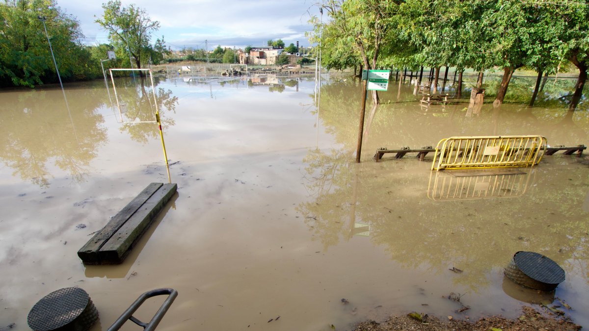 L'àrea de lleure del Mas de la Coixa, inundada, a Móra la Nova.​