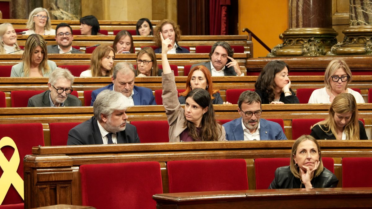 El diputat Albert Batet i Mònica Sales (braç alçat) en el ple del Parlament.