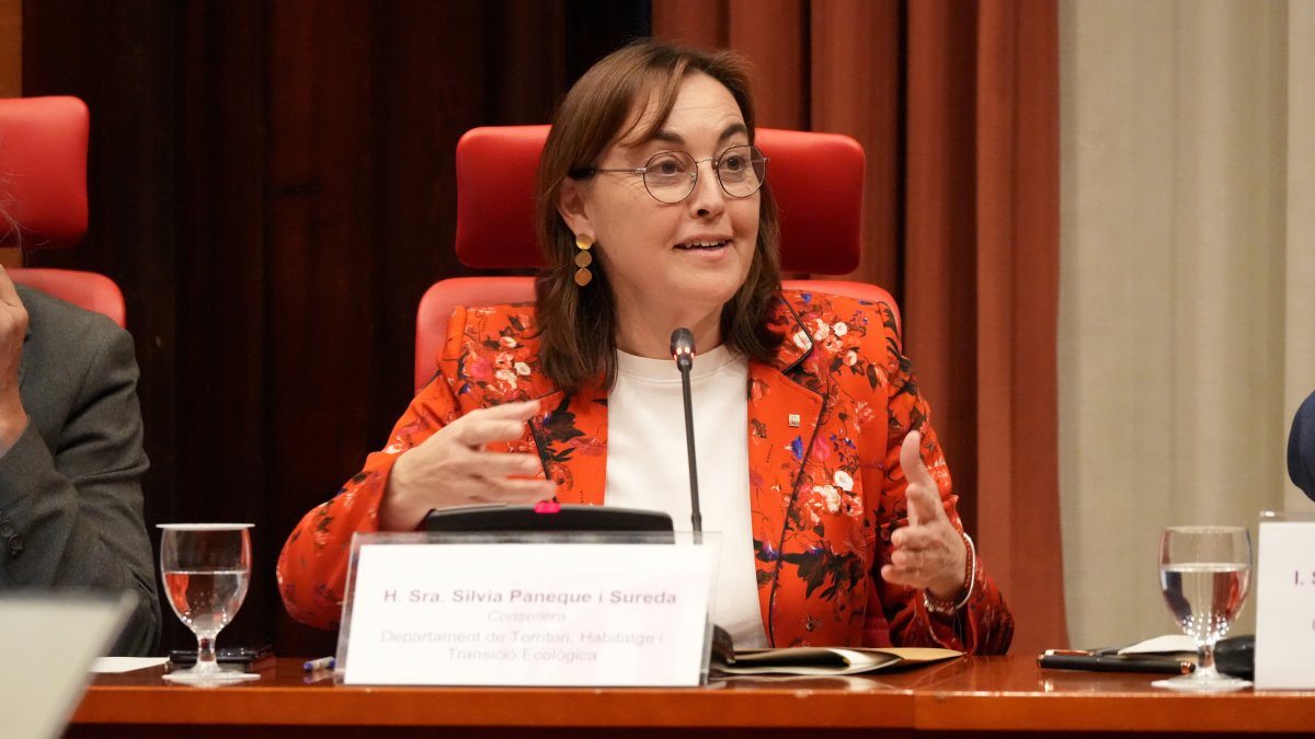 La consellera de Territori, Sílvia Paneque, durant la comissió de Transició Ecològica