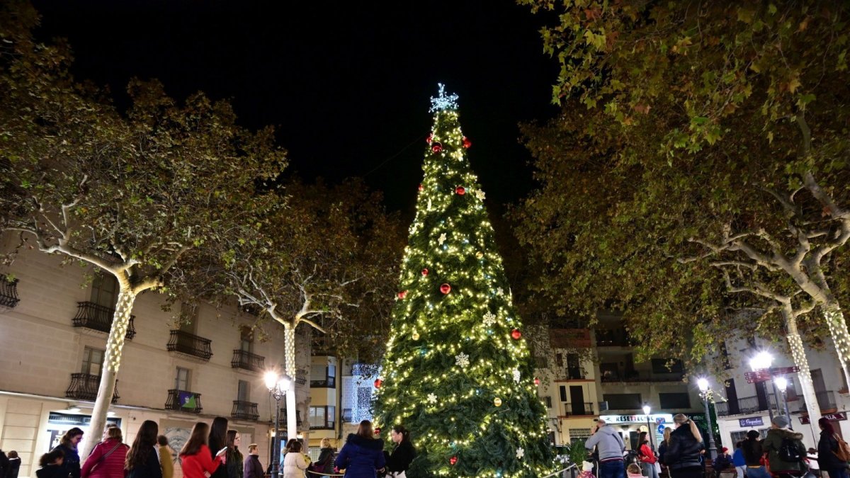 El árbol de El Vendrell en la plaza Nova.