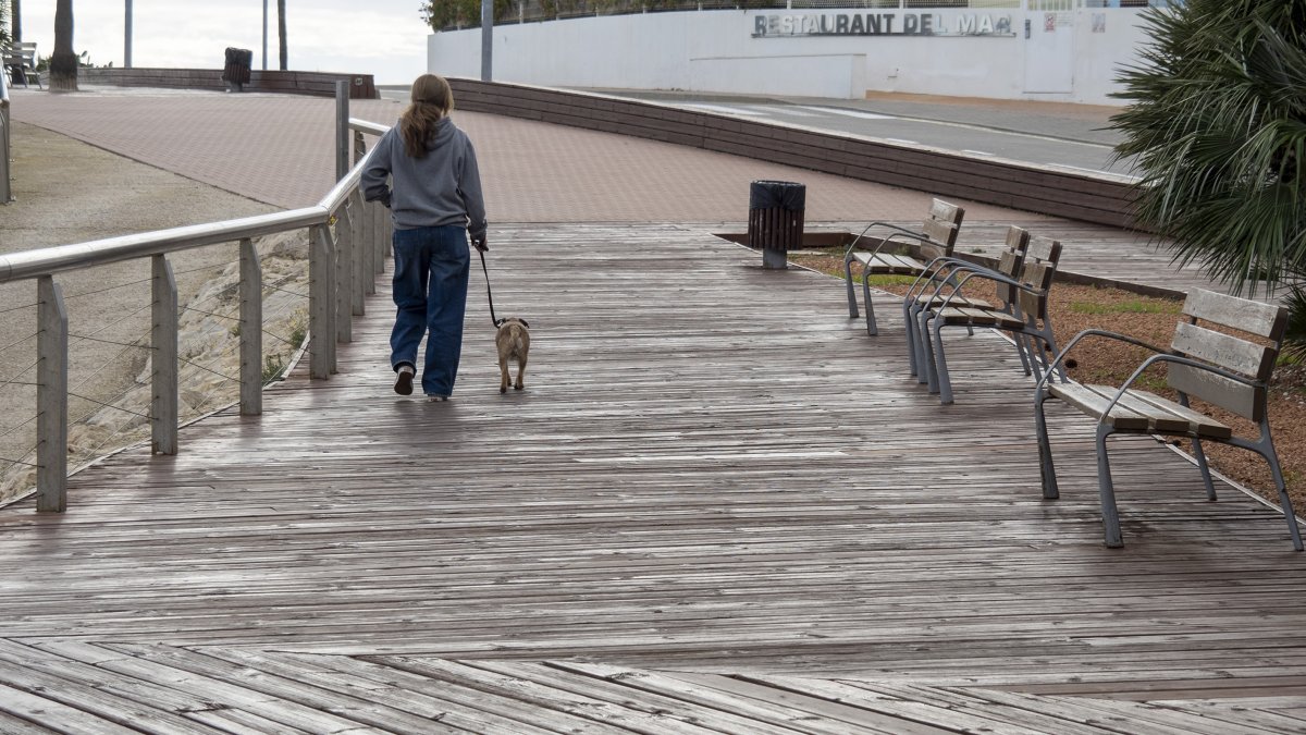 Un dels trams que s'ha de renovar.