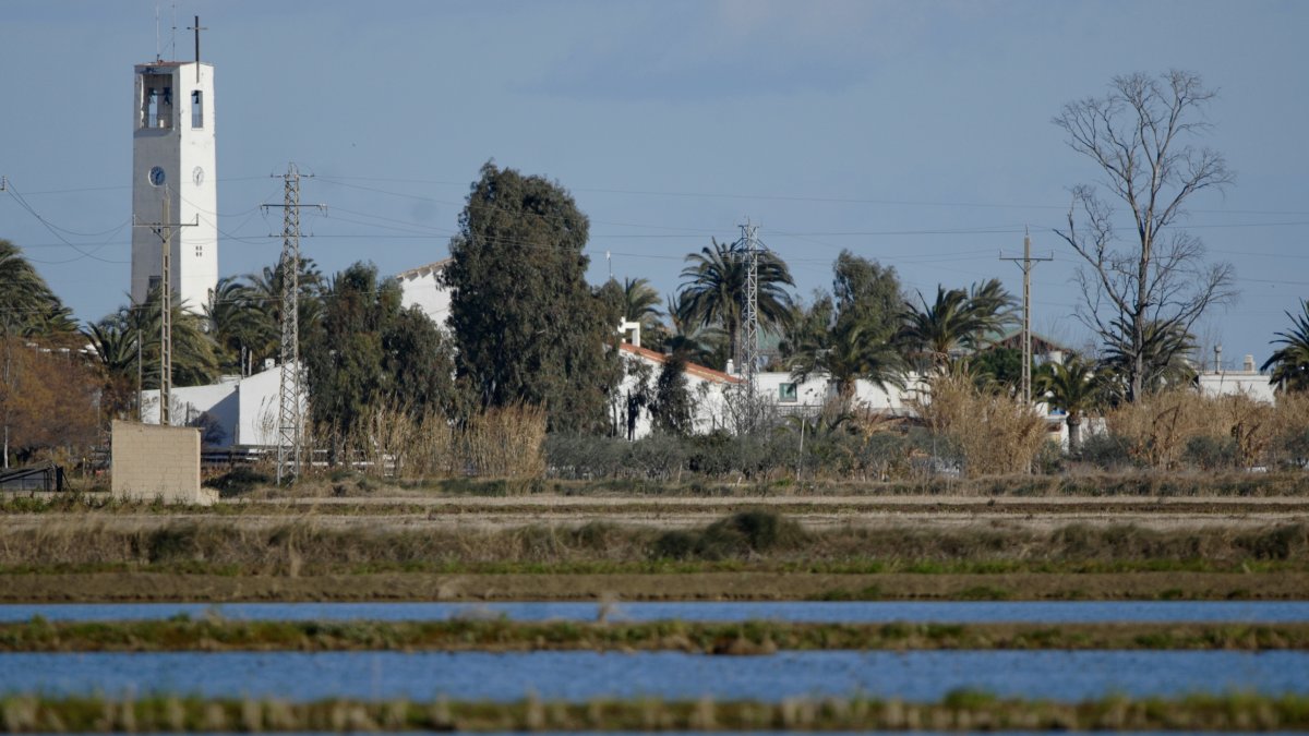 Poble Nou del Delta, entre arrozales.