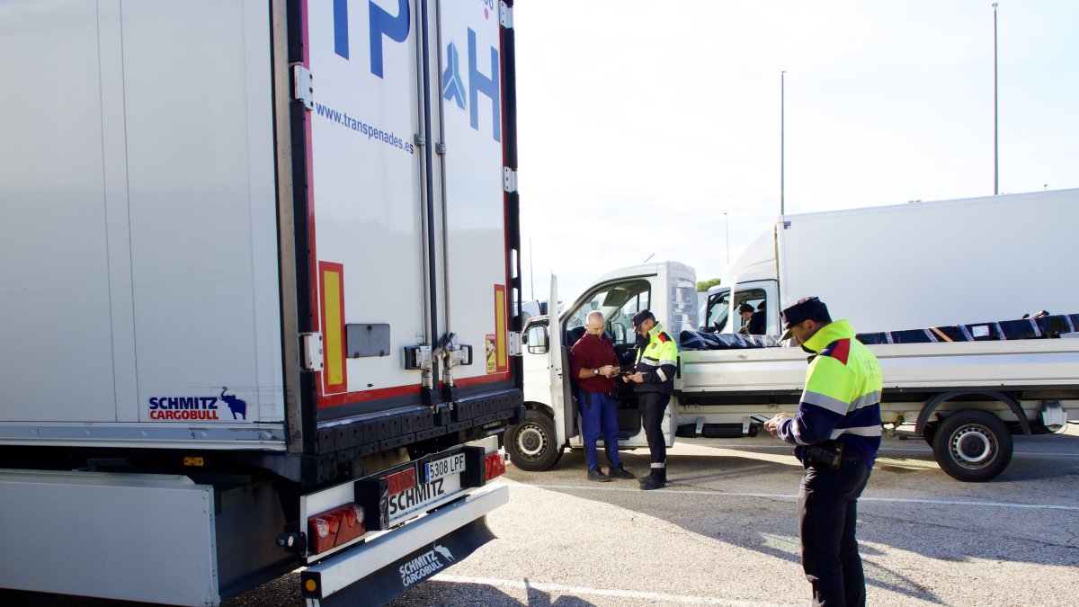 Un agente de los Mossos inspecciona un camión en un control en L'Aldea