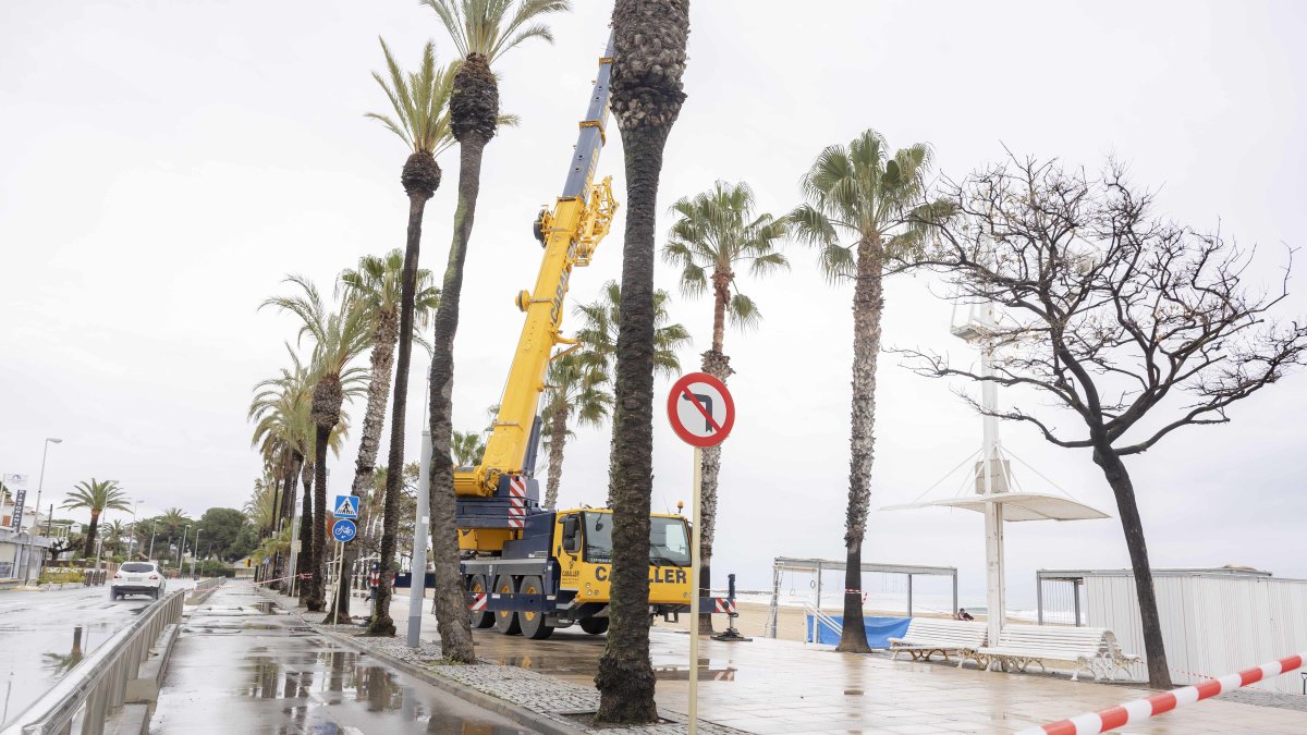 La colocación de uno de los chiringuitos, esta temporada.