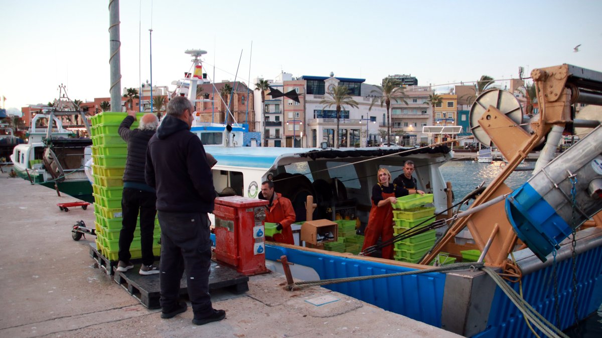 Pescadores de Tarragona descargando capturas de una embarcación de arrastre
