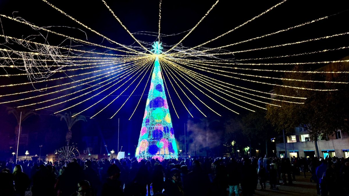 El árbol gigante que preside el Parc de la Riera, en Vila-seca.