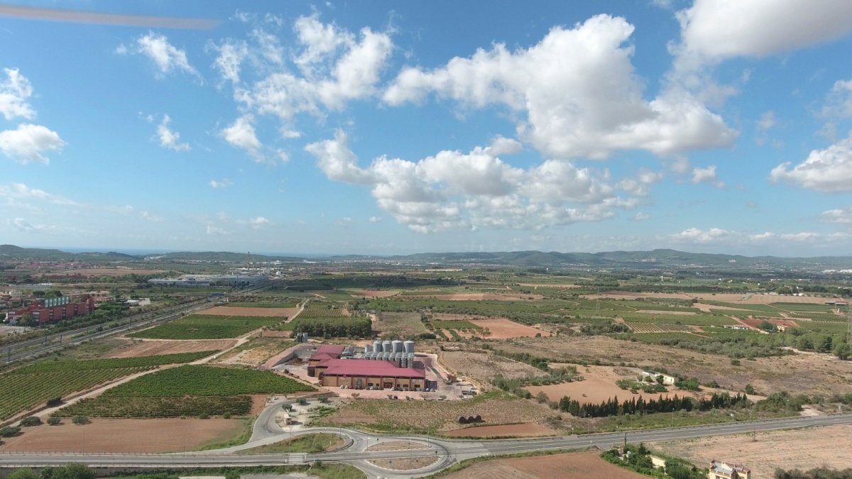 Una imagen de L'Arboç