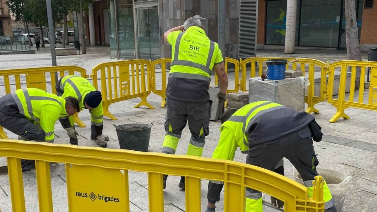 La Brigada de Intervención Rápida acumula un año de experiencia.