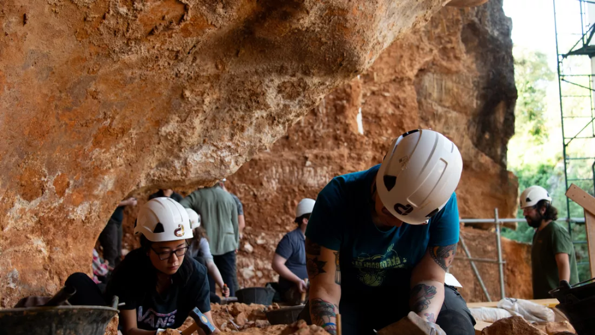 Trabajos de excavación en el nivel GIIb del yacimiento de Galería, en Atapuerca.
