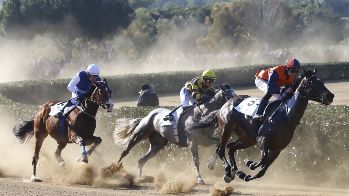 Las carreras de caballos del Cós de Sant Antoni, en una edición anterior.