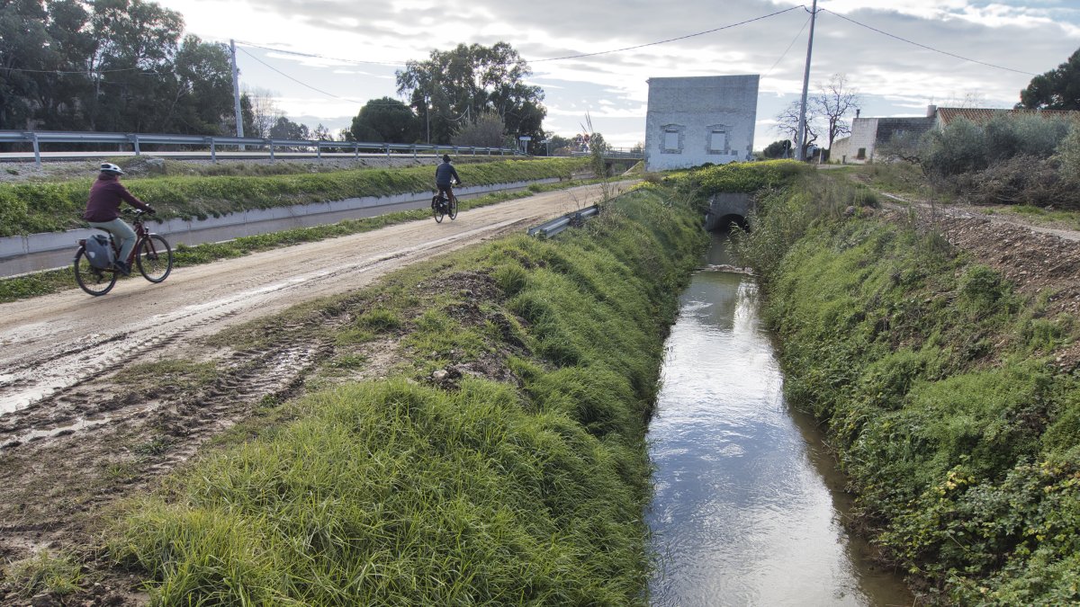 Estat actual de l'antiga sèquia mare, a Amposta.