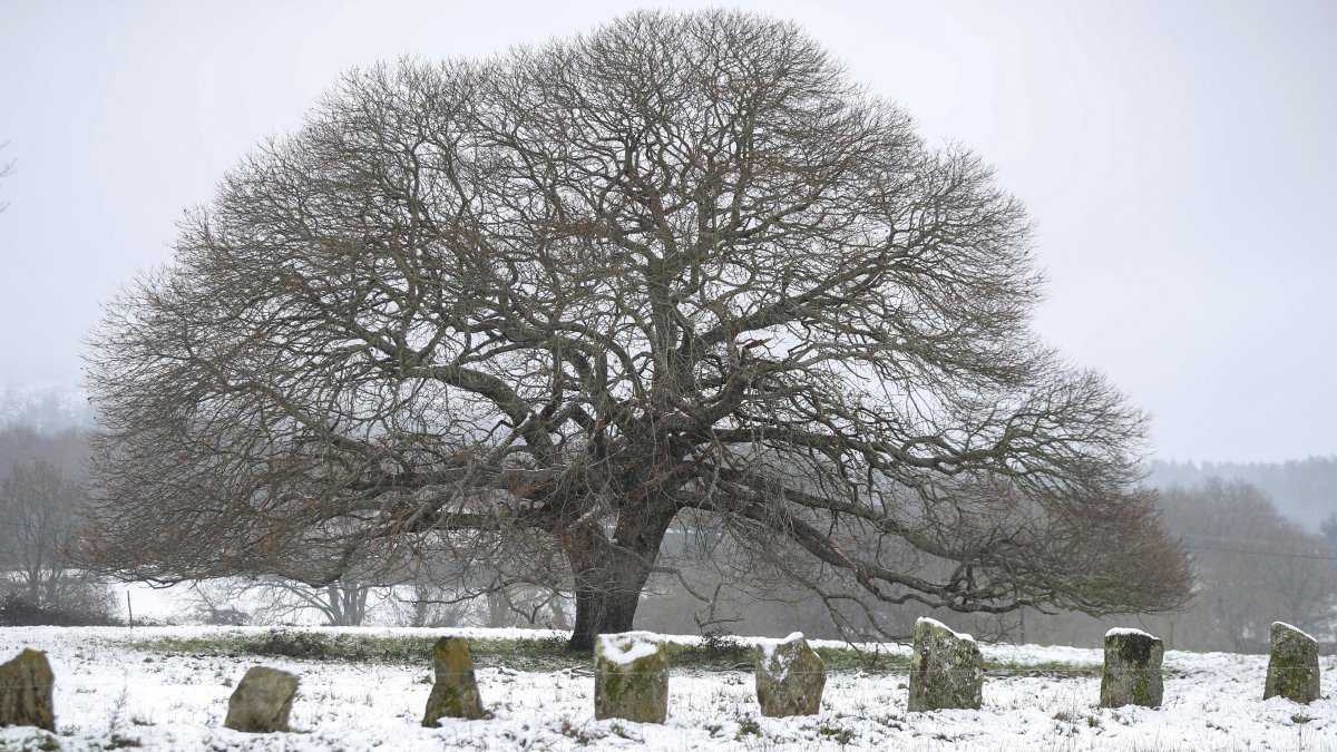 Consecuencias de la borrasca Ingrid.