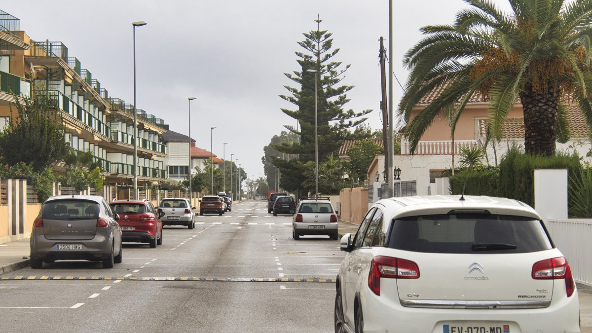Carrer de la urbanització d'Eucaliptus