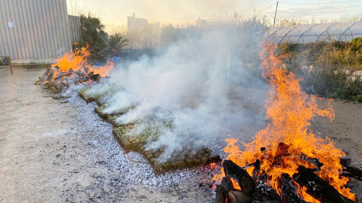 Rostint carxofes en la passada edició de la festa.
