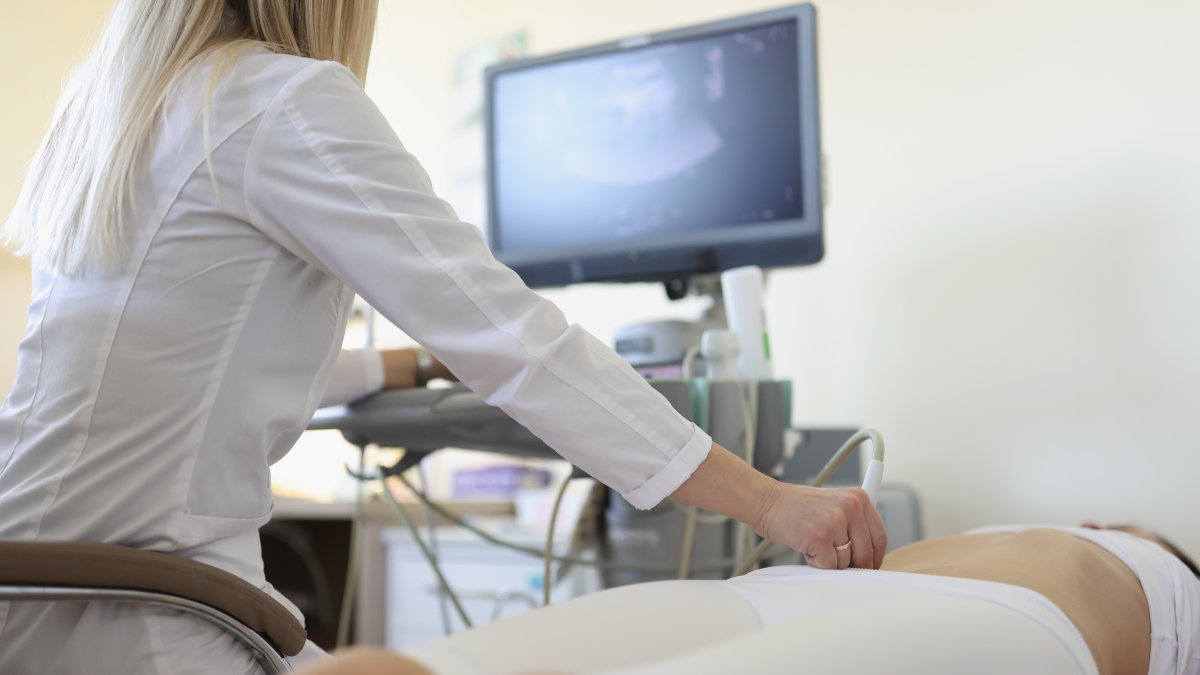 Un estudio liderado por la  Universitat Rovira i Virgili  ha analizado hasta qué punto la ecografía abdominal puede ser una herramienta útil y fiable para medir la grasa visceral