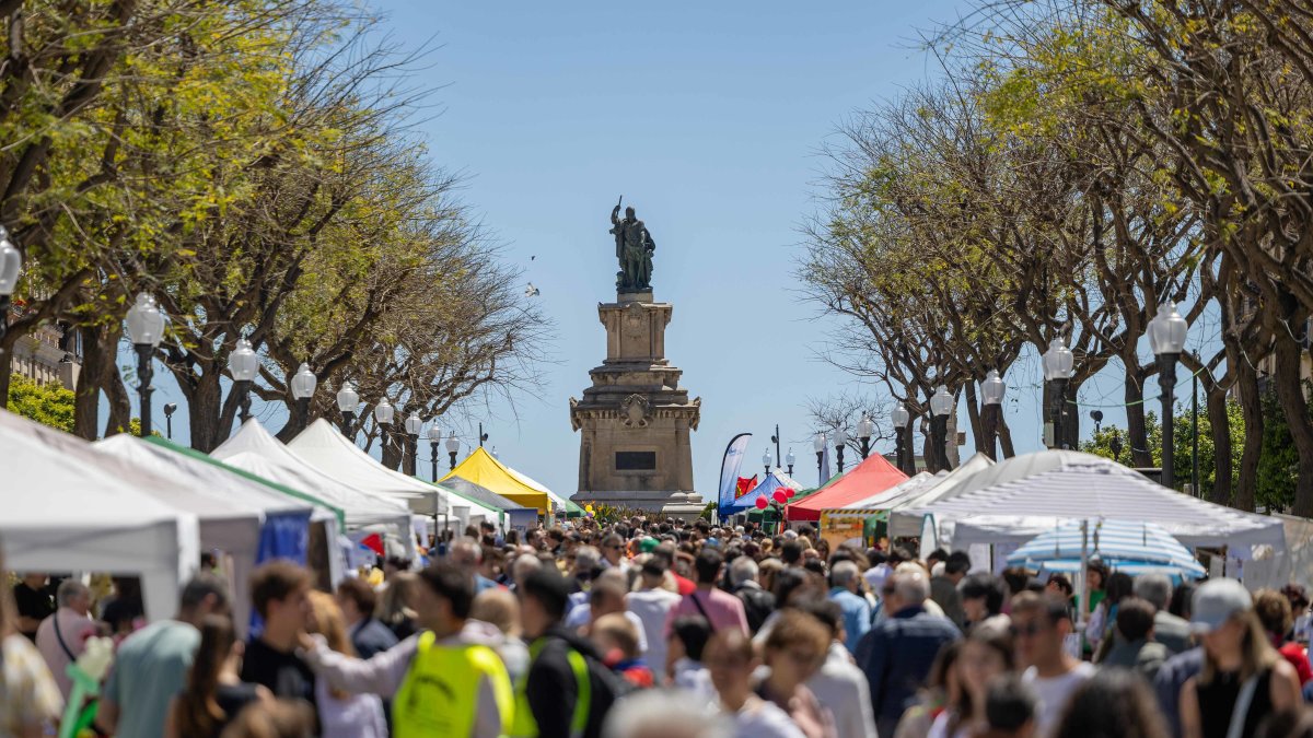 Foto de parades de Sant Jordi a la província de Tarragona