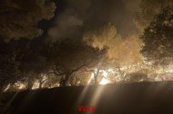 Imagen de los Bombers luchando por controlar el incendio forestal en el Baix Ebre