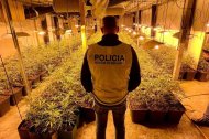 Un agente de los Mossos d'Esquadra con la marihuana.