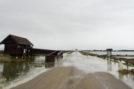 La carretera de los Eucaliptus al Trabucador está inundada