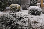 Fuerte nevada en Tarragona y varios puntos de Catalunya
