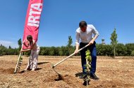 Noemí Llauradó, presidenta de la Diputació, i Òscar Ordeig, conseller d’Agricultura, plantant avellaners a les terres experimentals.