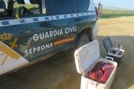 Atún intervenido por la guardia civil.