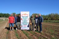 Les novetats d'aquesta primera edició del Calçofest s'han presentat a un camp de calçots de la IGP Calçot de Valls.
