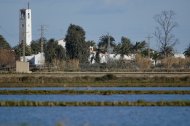 Poble Nou del Delta, entre arrozales.