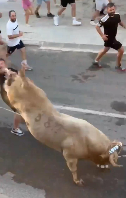 La coz del toro noqueó al participante en La Cava.