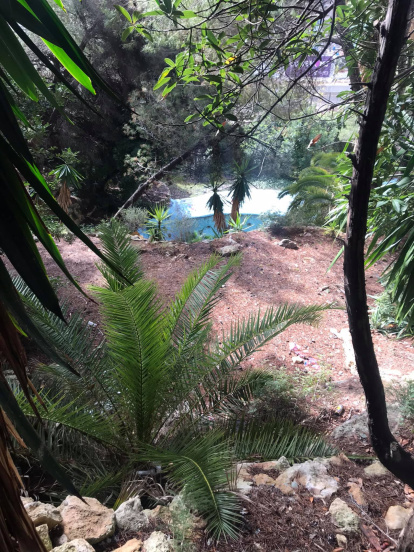 Galería de imágenes: Louie Vega, cuando sólo vuelan recuerdos