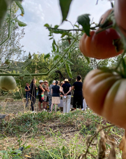 Imatges d’edicions passades de les “Jornades gastronòmiques de la tomaca i l’horta del Priorat” i la “Fira de la Tomaca”.