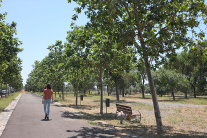 El Parc del Roquís está en ejecución, con una primera fase avanzada, pero aún faltarán dos más.
