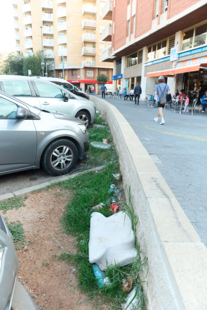 Los parterres y zonas verdes están descuidadas.