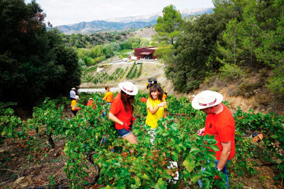 ‘Verema a l’Antiga’ en la bodega Perinet (DOQ Priorat).