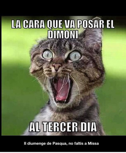 El cura tarraconense de los memes