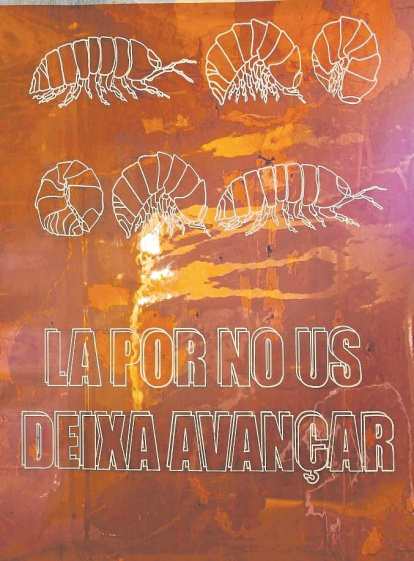 Treball artístic de la reusenca Cristina Ferré.