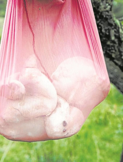 Imatge de l’obra de l’artista Jordi González.