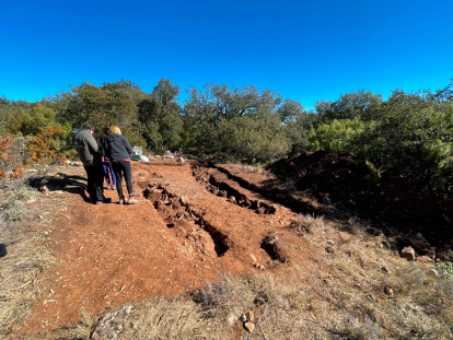 Intervención en la Serra de Prades (Baix Camp) entre febrero y marzo de 2022.