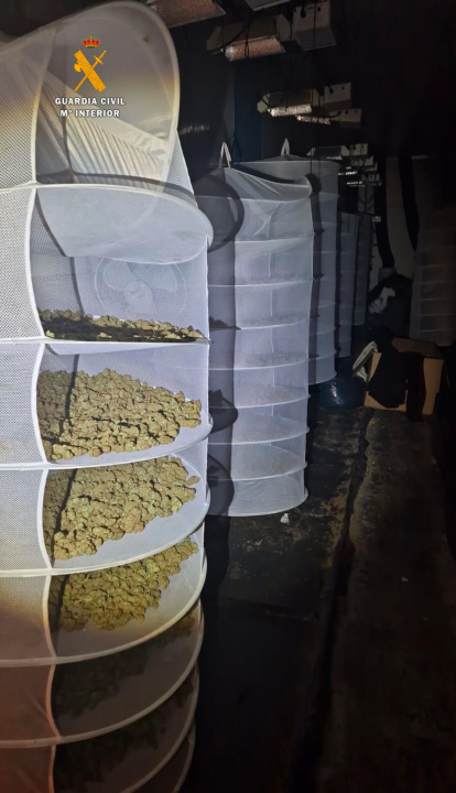 Parte de la droga intervenida.