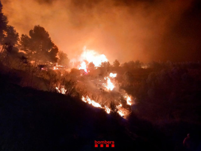 Las llamas están localizadas en la zona del Garramell, entre La Selva del Camp y Vilaplana.