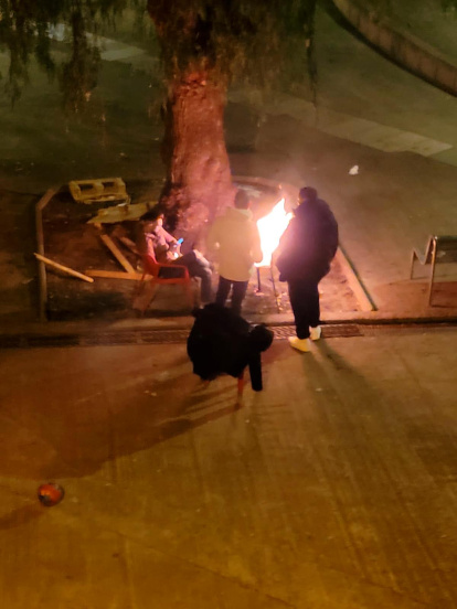 Un fuego encendido en el alcorque de un árbol, en Mas Pellicer.
