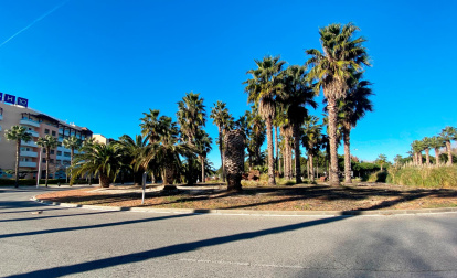La rotonda de la calle Pera Molas con la avenida Països Catalans.